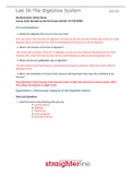 BIO 202L Lab 16 The Digestive System GRADED A&plus;
