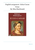 English Assignment: Julius Caesar Essay