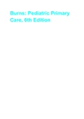 Burns: Pediatric Primary Care, 6th Edition