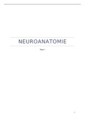 Neuroanatomie: Neuro-otogenese YO1234