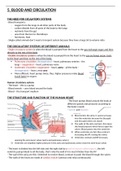 NOTES CHAPTER 5 AND 6 - BLOOD AND CIRCULATION, COORDINATION IN HUMANS