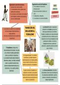 Tranci&oacute;n del esclavismo al feudalismo
