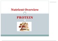 Protein for Animal Nutrition IUS