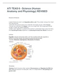 ATI TEAS 6 - Science (Human Anatomy and Physiology) REVISED|ATI TEAS 6-2021