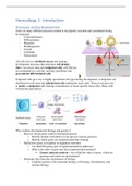 ONTWIKKELINGBIOLOGIE & GENETICA - Hoorcolleges deel 1