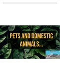 Top 10 Pets and Domestic Animals - Fun Learning - With Illustrations & Sentences