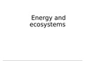 AQA alevel biology - energy transfers in and between organisms (unit 5) A2
