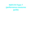 NUR 514 Topic 7 (performance measures guide)