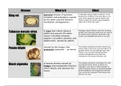 Summary of plant diseases - chapter 12