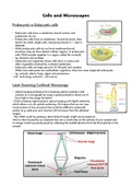 Module 2 - OCR A biology -  A level - Summary Notes