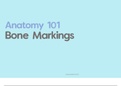 Anatomy 1: Introduction - Bone Markings