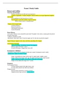 NR304 &sol; NR 304 Exam 2 Study Guide &lpar;Latest 2021 &sol; 2022&rpar;&colon; Health Assessment II - Chamberlain College Of Nursing&period;