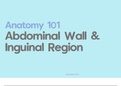 Anatomy 1: The Anterior Abdominal Wall & Inguinal Region