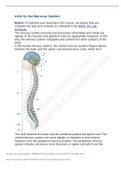 Intro to the Nervous System Notes and answers&period;docx