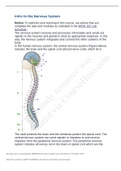 Intro to the Nervous System Notes and answers.docx