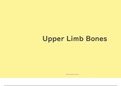 Anatomy 2: Upperlimb Bones & Bone Markings