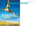 Marieb-Essentials of Human Anatomy Physiology 10th Edition Test Bank