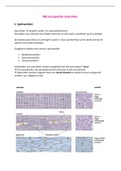 Samenvatting Immunologie facet microscopische anatomie 2BL