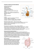 Samenvatting verloskunde Module 12: Tractus digestivus (deel 2)
