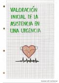 Valoraci&oacute;n inicial de la asistencia en una urgencia 