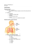 Chapter 22 Respiratory part 1