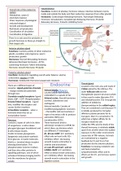 Summary of the endocrine system
