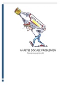 module 4.2 analyse sociale problemen cijfer 7 + beoordelingsformulier