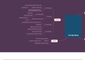 The Big Sleep - Mind map of all the important themes and motifs