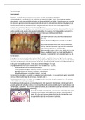 Samenvatting filmpjes en tekst parodontologie