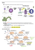 Biology B Edexcel  Viruses Revision notes &lpar;A&ast;&rpar;