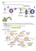 Biology B Edexcel  Viruses Revision notes (A*)