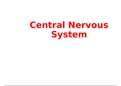 Class notes central nervous system physiology 