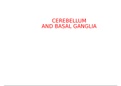 summary of cerebellum and basal ganglia