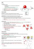 OCR A Year 1&plus;2 Revision notes - A grade acquired