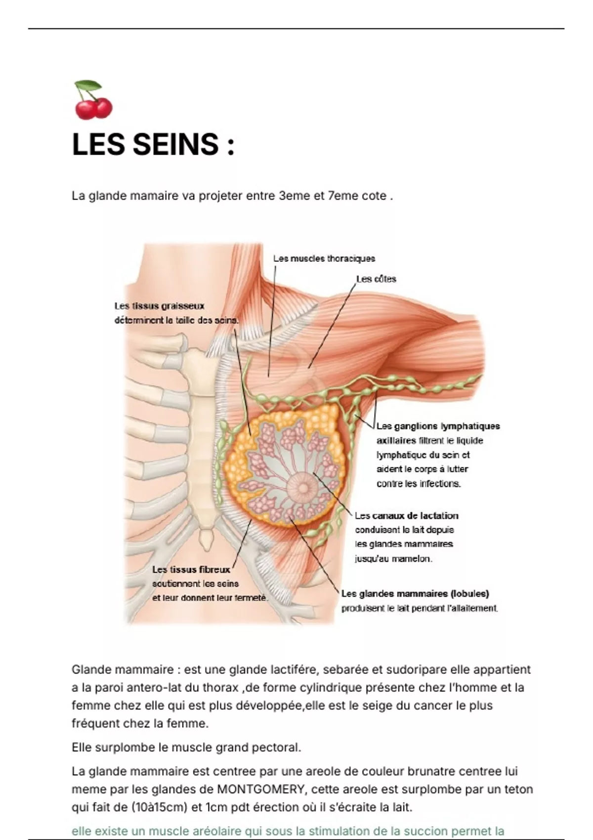 R sum Anatomie Des Seins Medicine PSY200 Stuvia US r-sum-anatomie-des-seins-medicine-psy200-stuvia-us