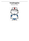 Verpleegplan (jaar 1, periode 2) HBO Verpleegkundige NHL-Stenden (beoordeeld met een 8,2)