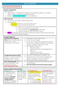 LPC CIVIL LITIGATION FULL REVISION NOTES (100% DISTINCTION)