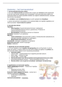 Verpleegkundig redeneren en handelen inleidend 2: hormoonstelsel anatomie