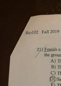 BIO 102 (Principles of Biology II), Part 2 of Exam 1, Evolution and Life Cycles, Fall 2019