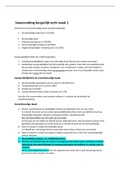 samenvatting &plus; aantekeningen hoorcollege HHS