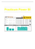 Practicum Power BI