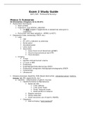 NUR 2349 - Exam 2 Study Guide( Professional Nursing I)