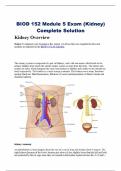 BIOD 152 Module 5 Exam &lpar;Kidney&rpar;  Complete Solution 