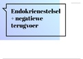 Endokriene stelsel en negatiewe terugvoer lewenswetenskappe gr12