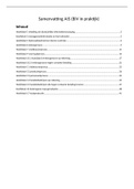 Samenvatting BIV in praktijk&comma; ISBN&colon; 9789490957100  BIV In Praktijk