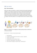 Methodische Beschrijving Ziektebeeld (MBZ) over astma