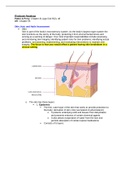 SKIN & WOUND STUDY GUIDE- WITH ILLUSTRATIONS