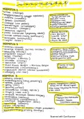 Asem summary and vocabulary 