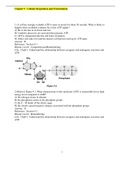 Chapter 9 Cellular Respiration and Fermentation