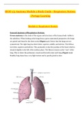 BIOD 151 Anatomy Module 2 Study Guide_2020 | BIOD151 Anatomy Module 2 Study Guide - Respiratory System - Portage Learning